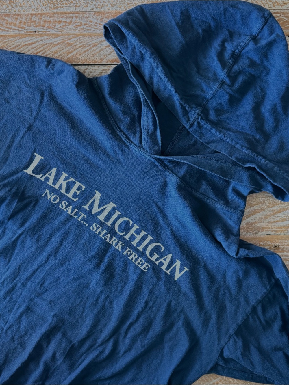 🐟Lake Michigan “No Salt… Shark Free” Navy Pullover Hoodie🐟 ~Med  ✨100% cotton